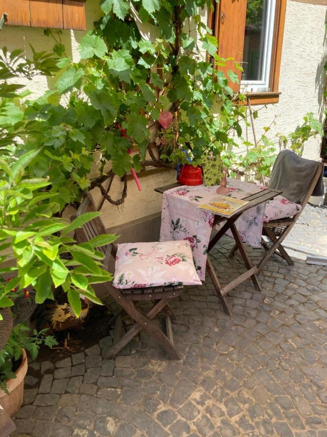 Tante Berg B&B Bad Vilbel Exterior photo